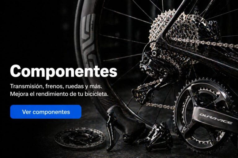 Componentes ruta