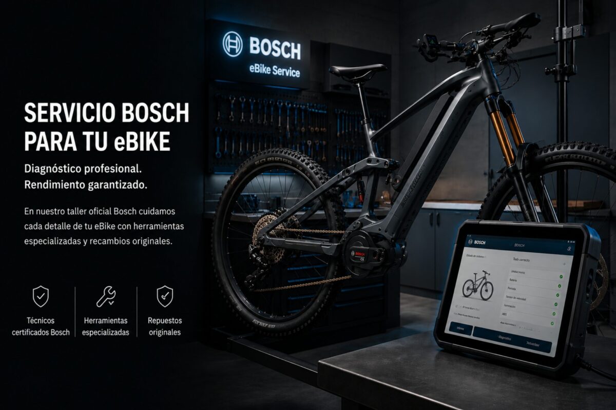 Bosch eBike Service